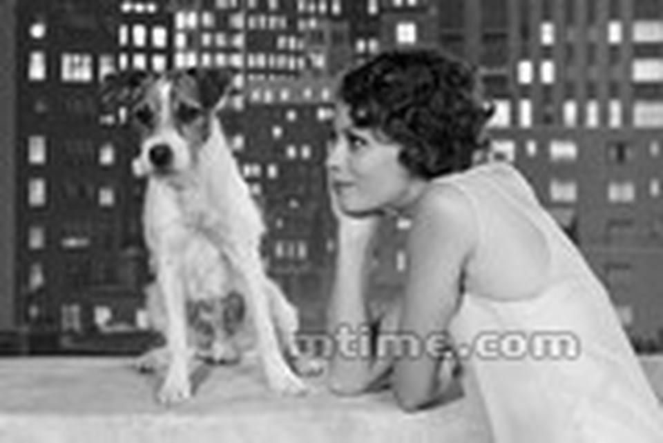 萌之必杀技：两位人类角色和狗狗的无声交流。如果说《猩球崛起》中的Caesar需要叫声与人类沟通，那么我们的Uggie与主人靠眼神沟通，此处无声胜有声。