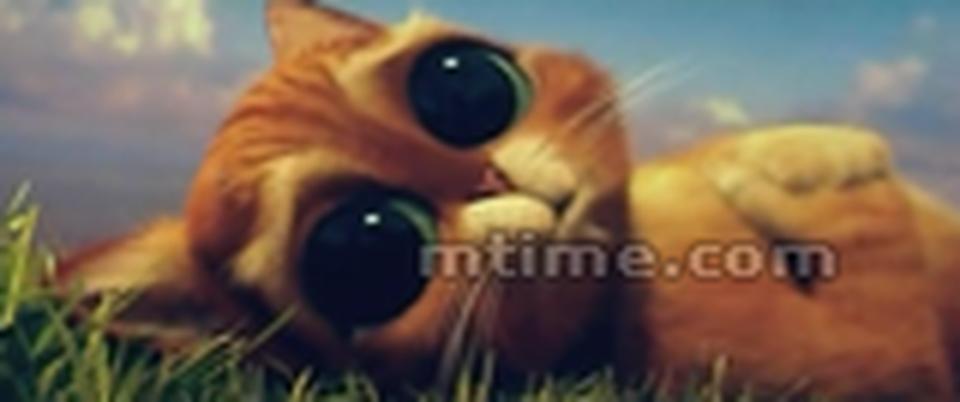 穿靴子的猫在没遇到大块头史莱克之前，与猫女侠一起保护鹅妈妈下的金蛋的故事...在他没遇见史莱克之前，它就学会了卖萌。