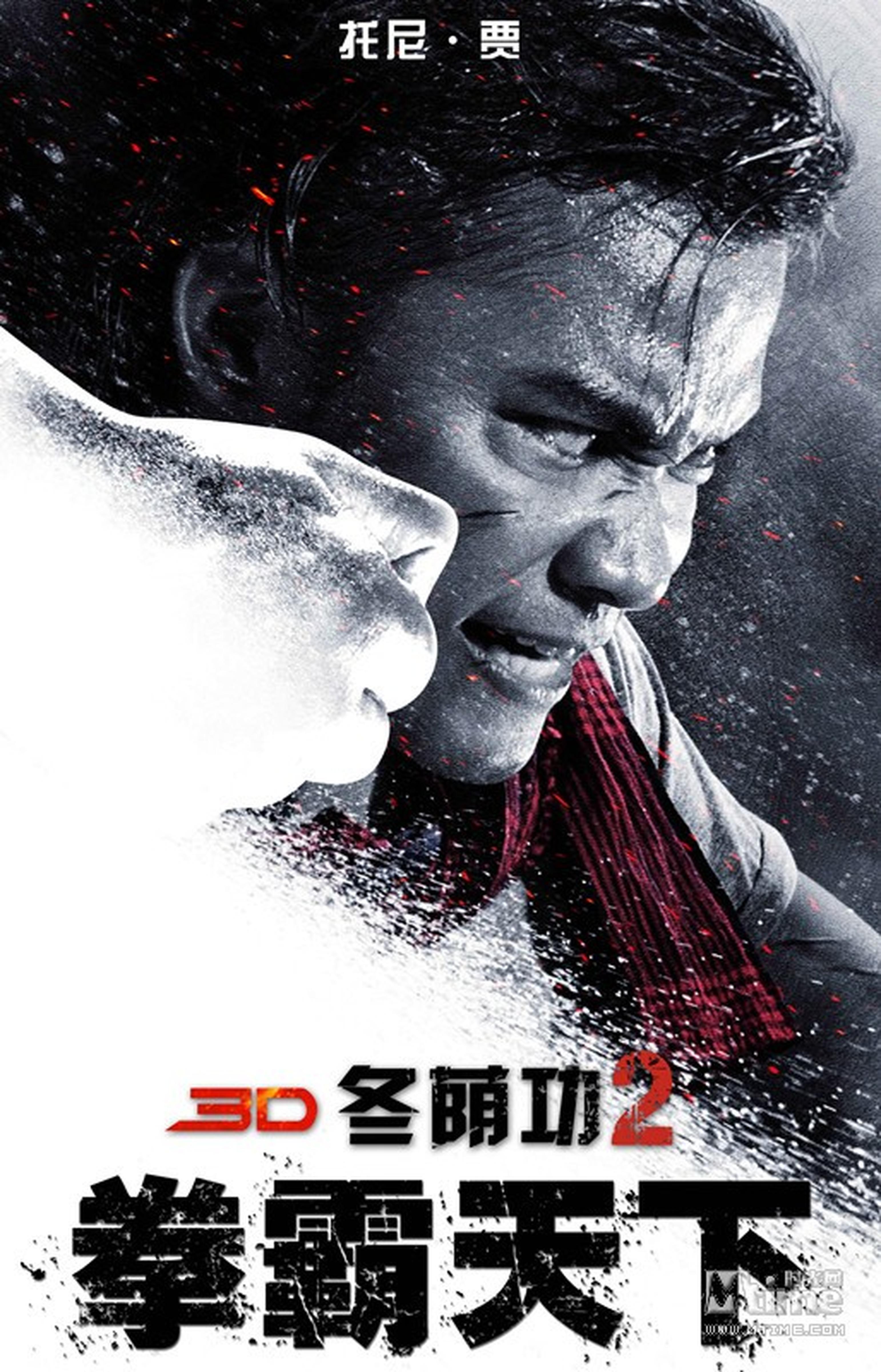 《冬荫功2：拳霸天下》人物海报：托尼·贾