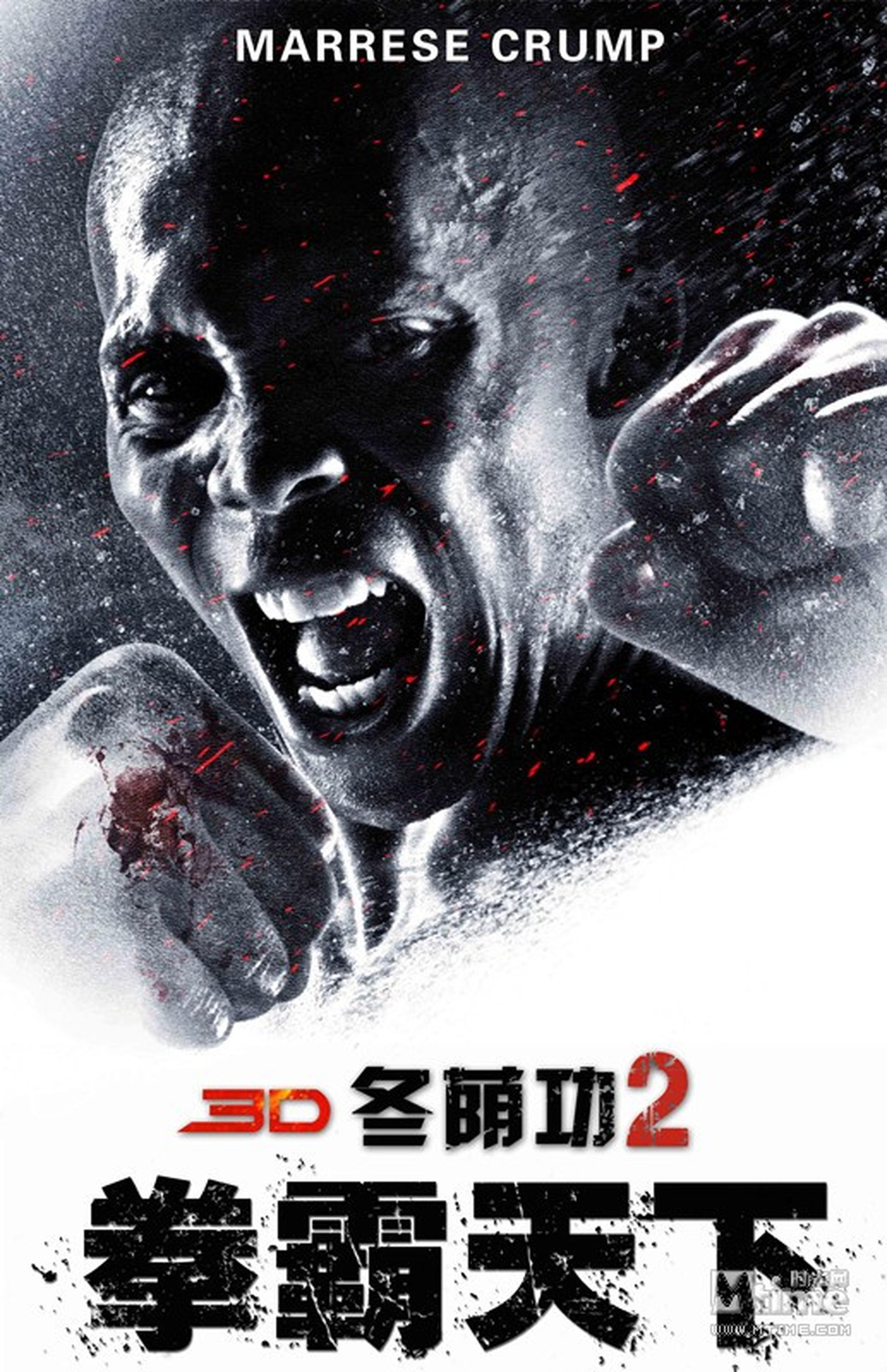 《冬荫功2：拳霸天下》人物海报：马雷斯·克鲁普