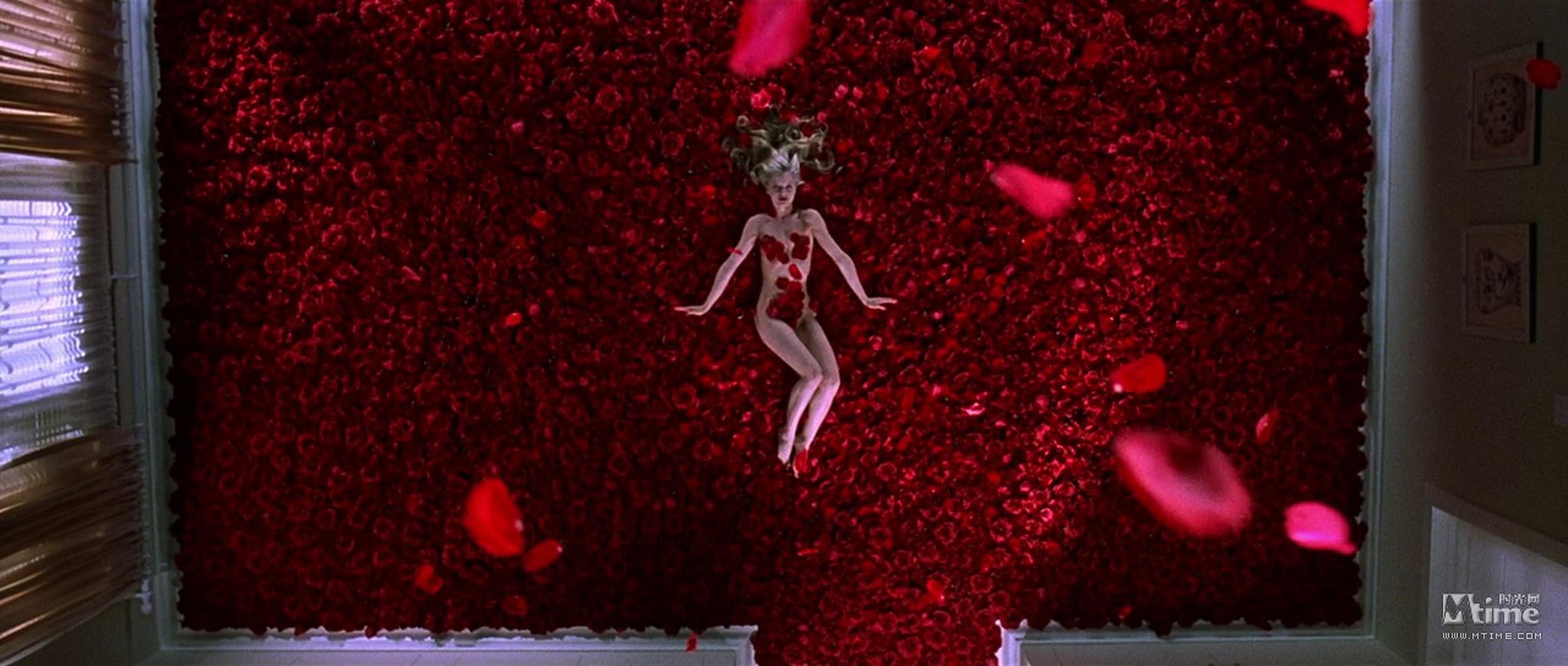 幻想中玫瑰之舞《美国美人》1999——很多人都看过这个画面，但不一定知道这部电影，可见这一幕的经典程度，看来凯文·史派西的幻想不仅代表了中年大叔，也代表了所有人。