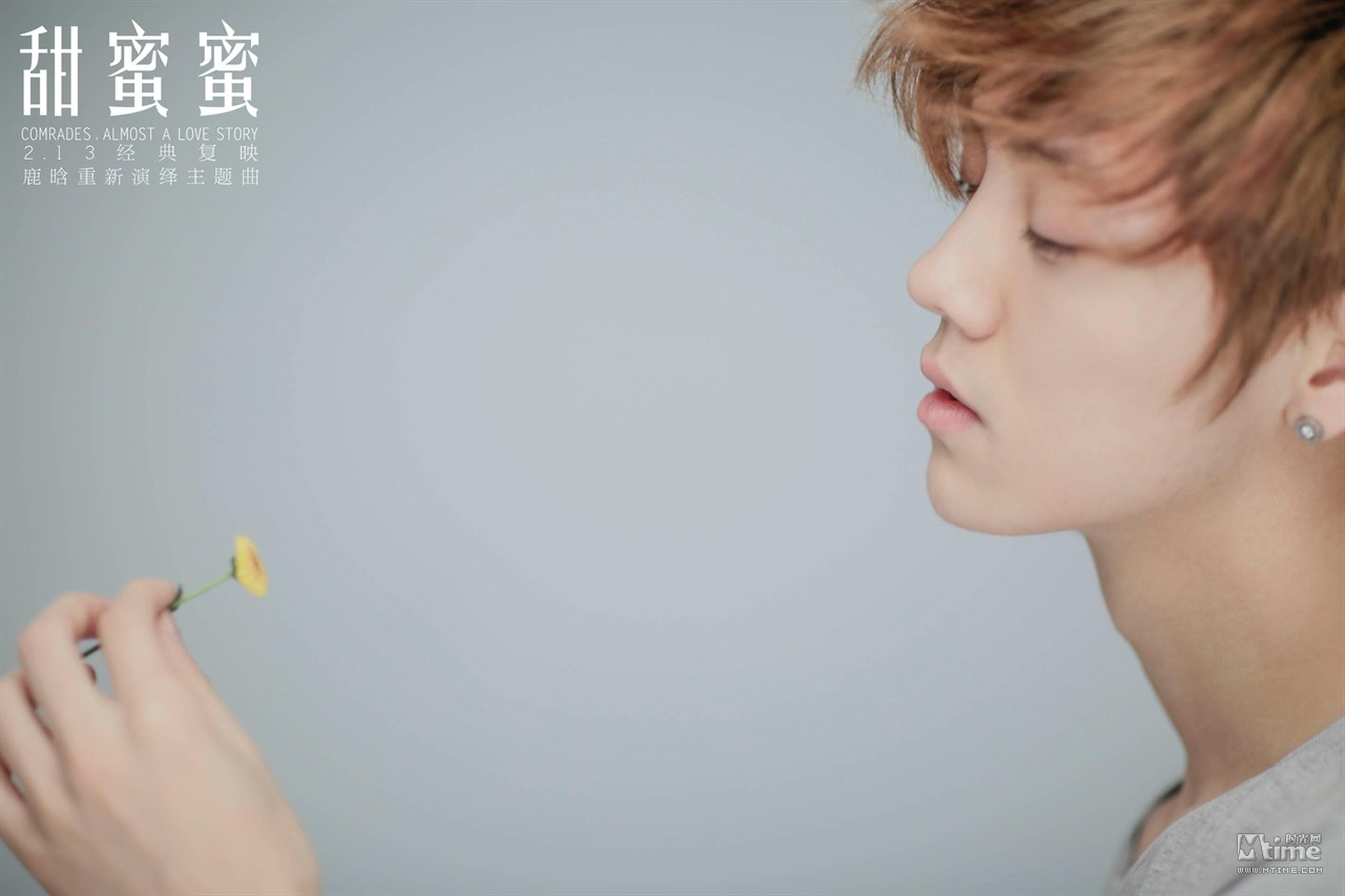 鹿晗凝望鲜花
