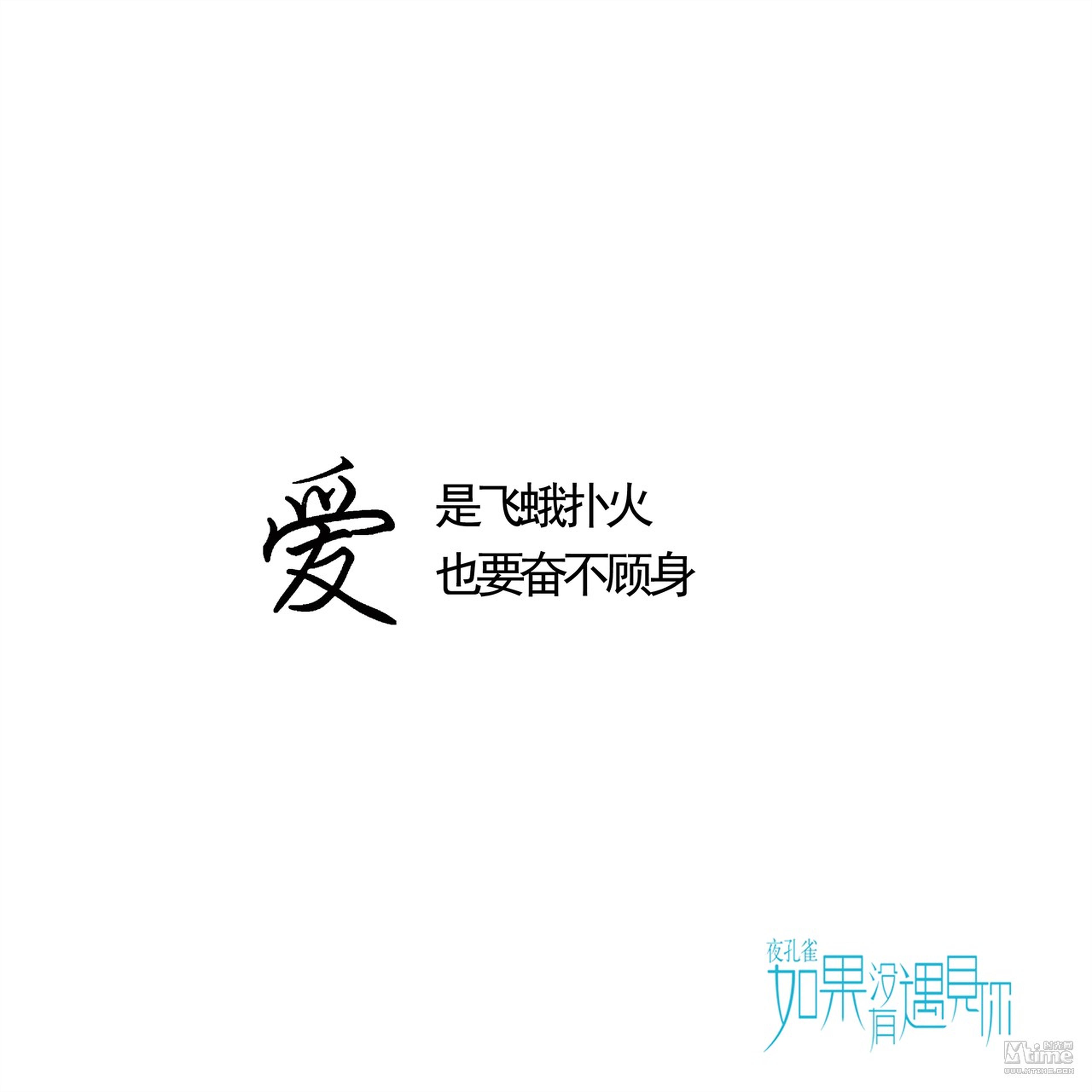 《夜孔雀》爱是飞蛾扑火