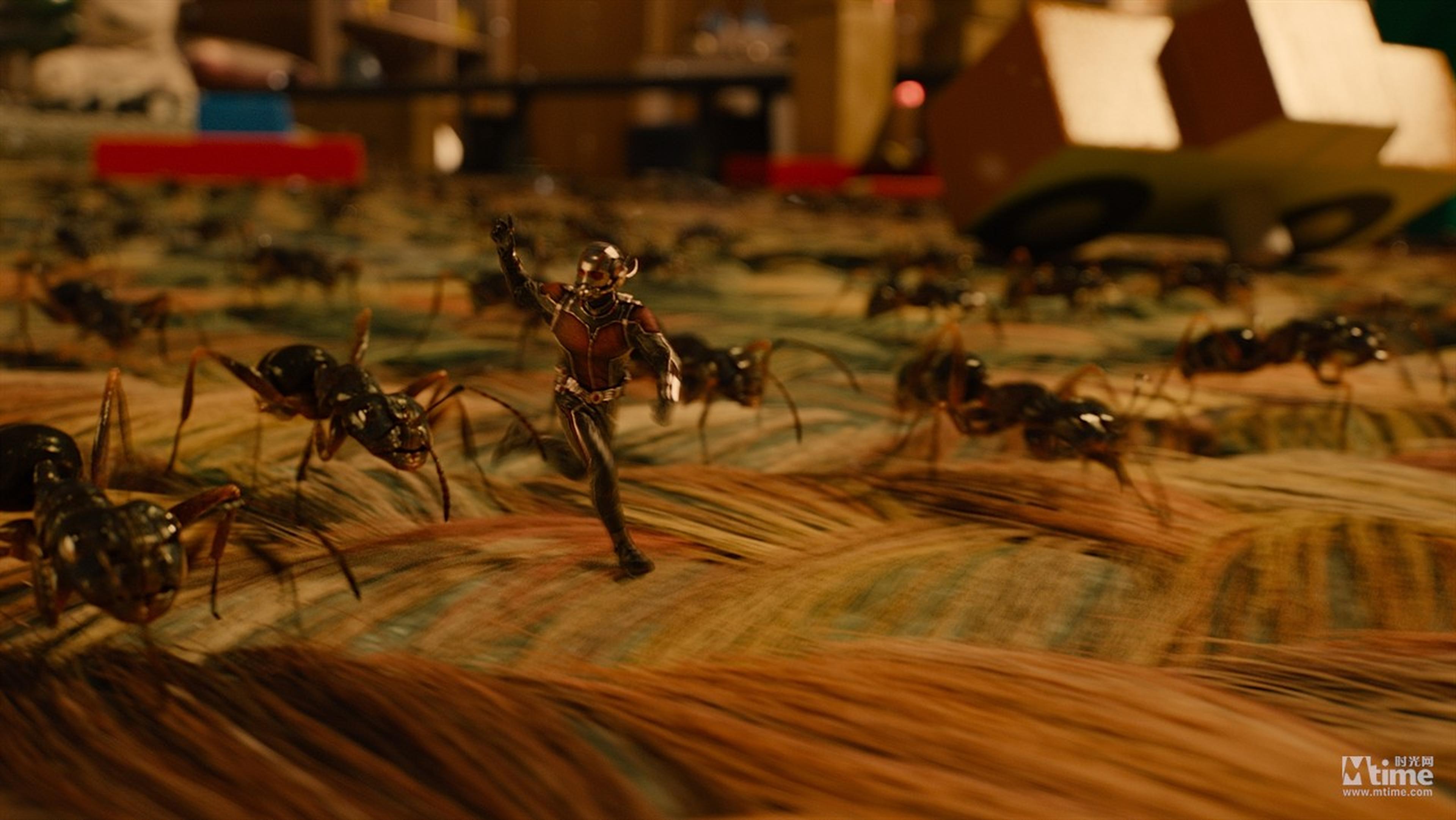 奥斯卡最佳视效奖第二轮提名名单（按英文首字母排列）：《蚁人》（Ant-Man）
