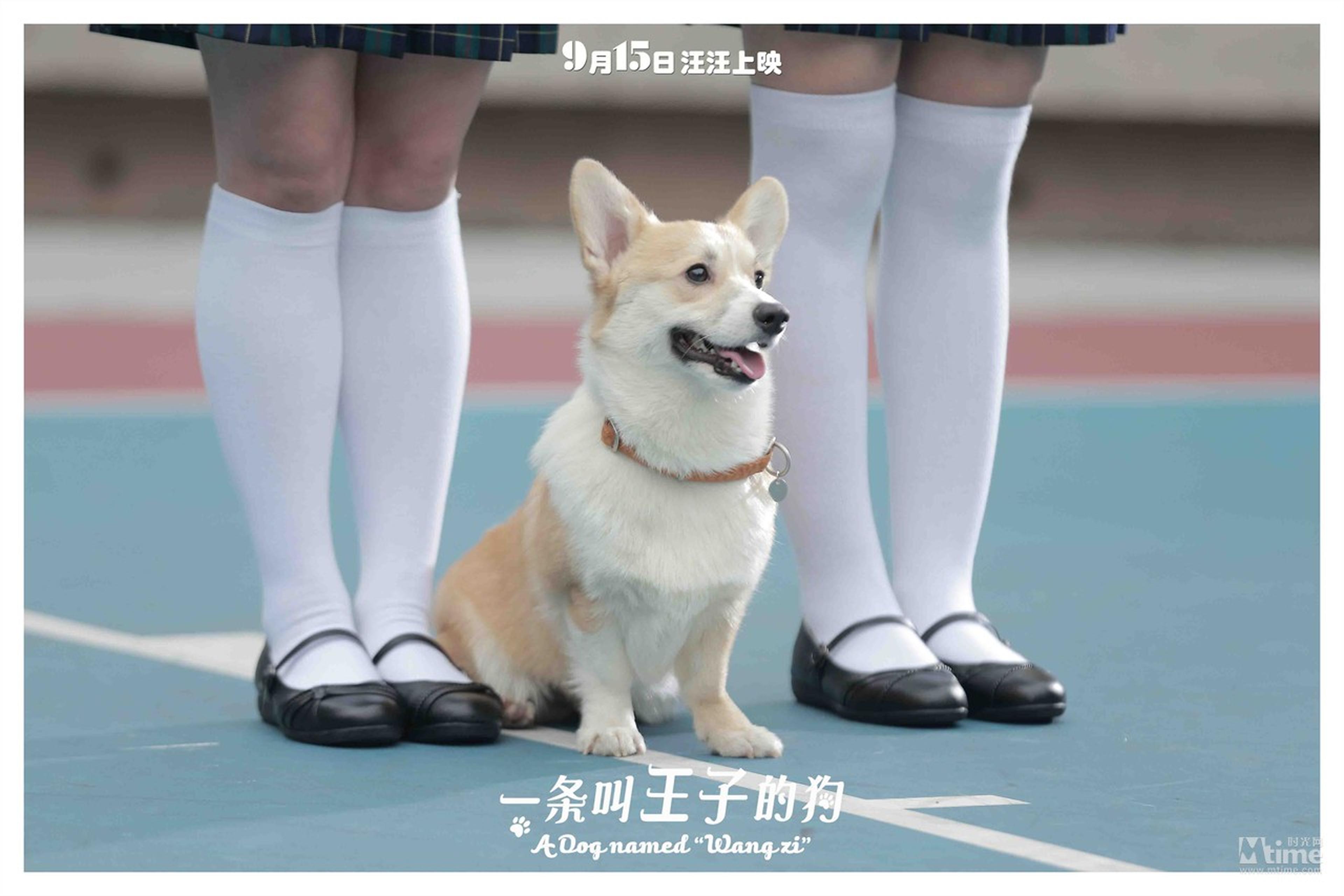 “王子”与女主角一起罚站