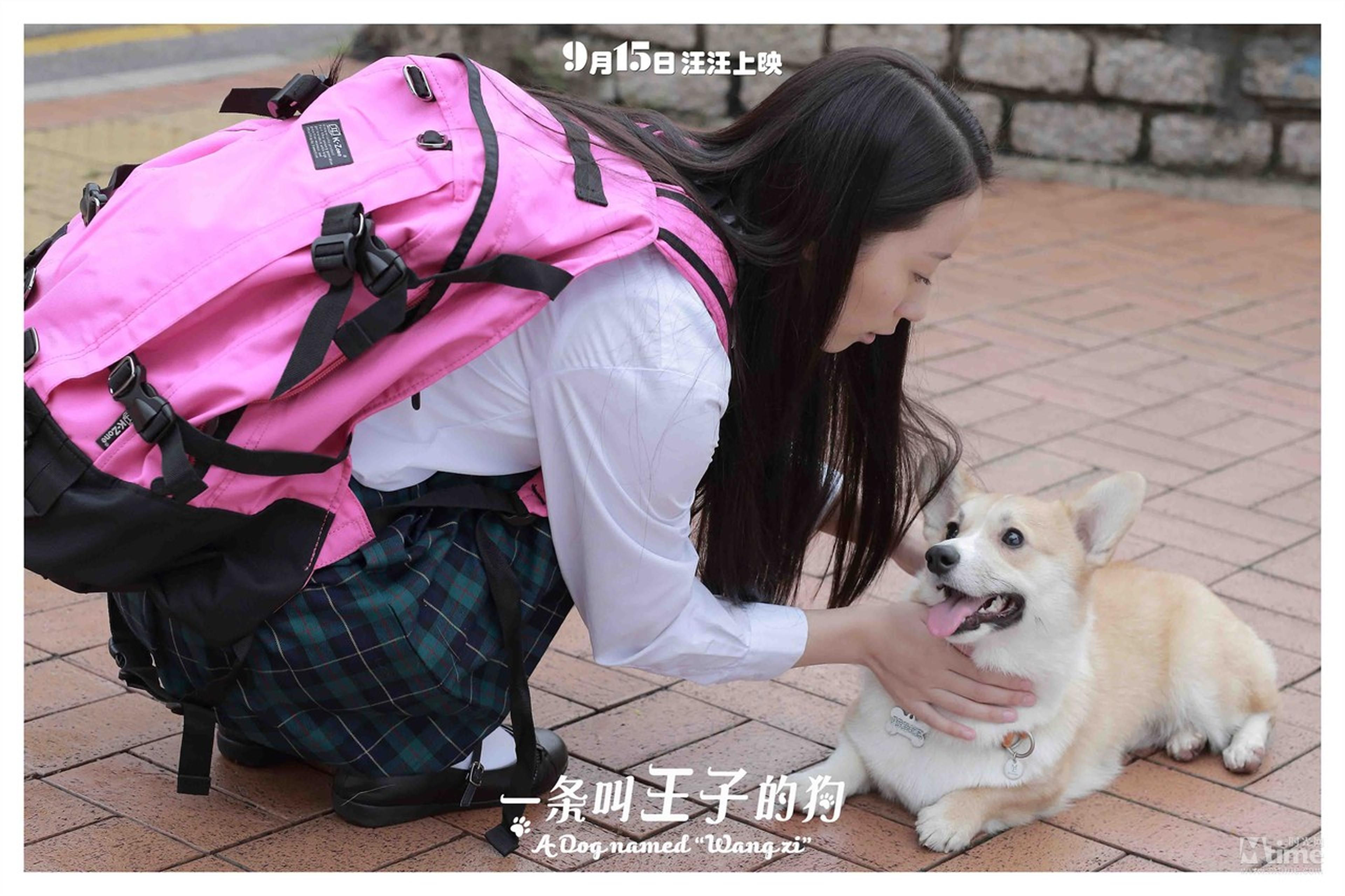 “王子”饿了卖萌倒地