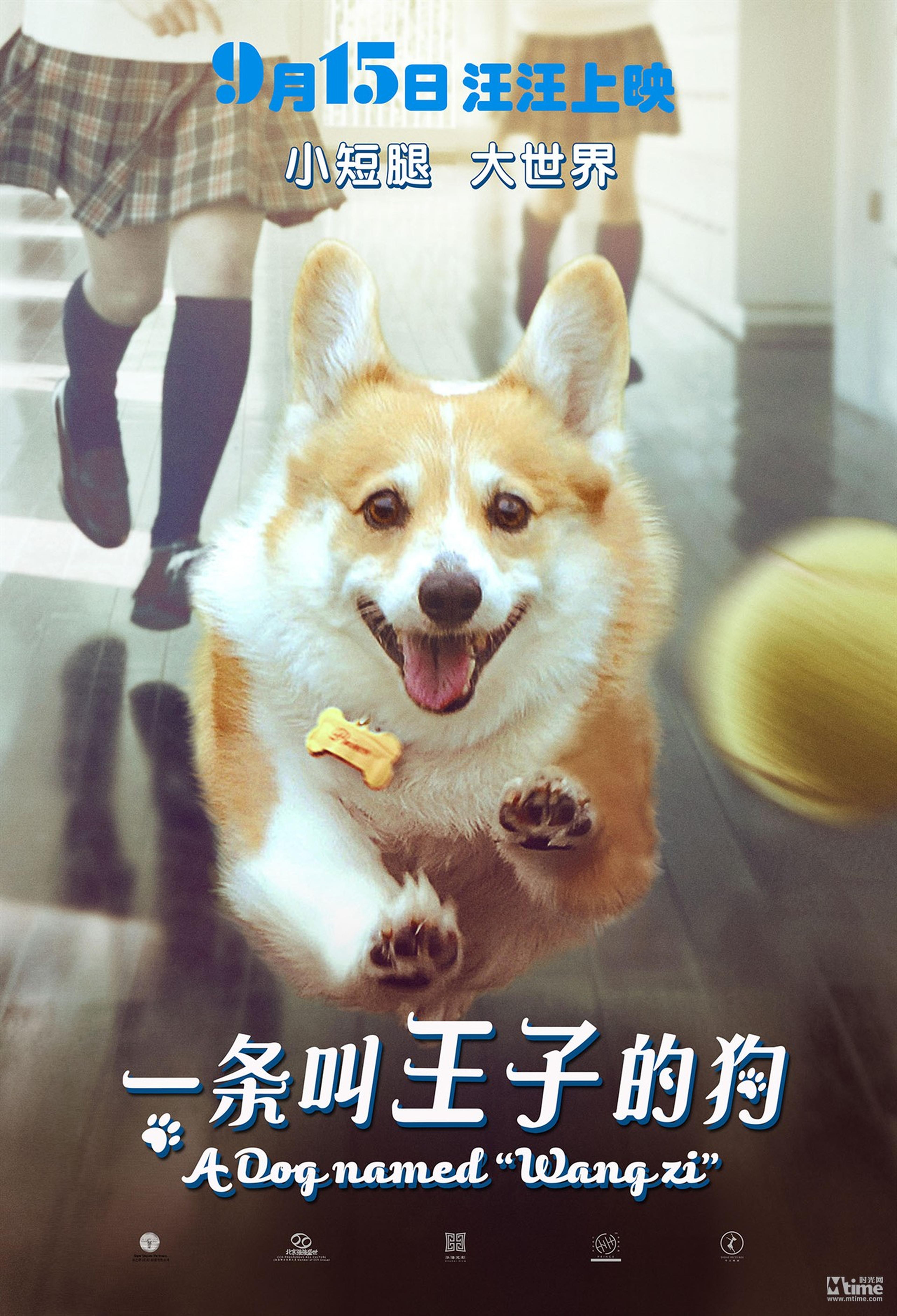 《一条叫王子的狗》剧情海报