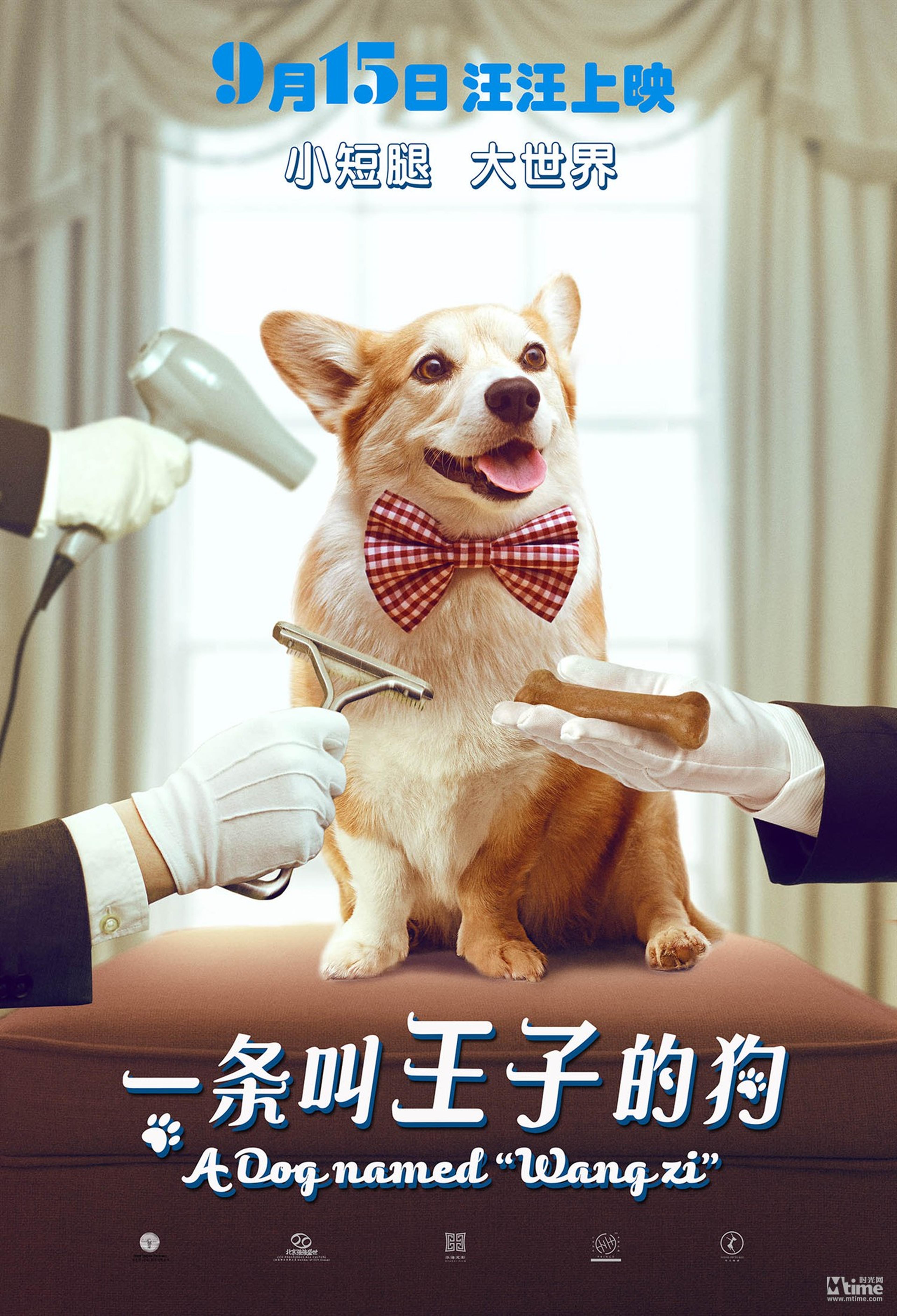 《一条叫王子的狗》剧情海报