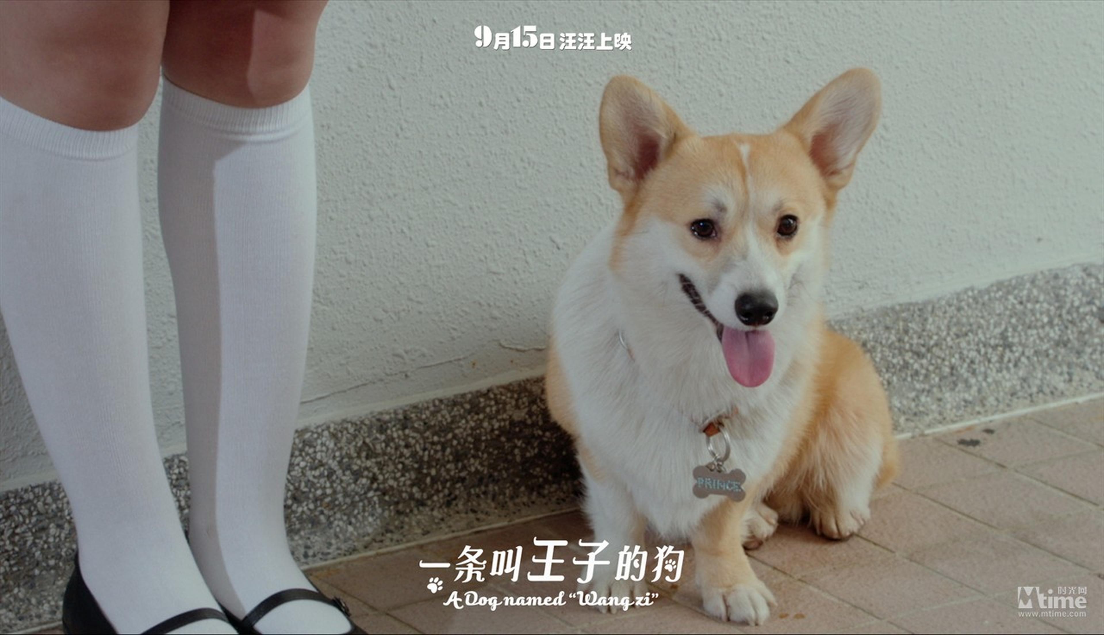 王子伸舌头卖萌