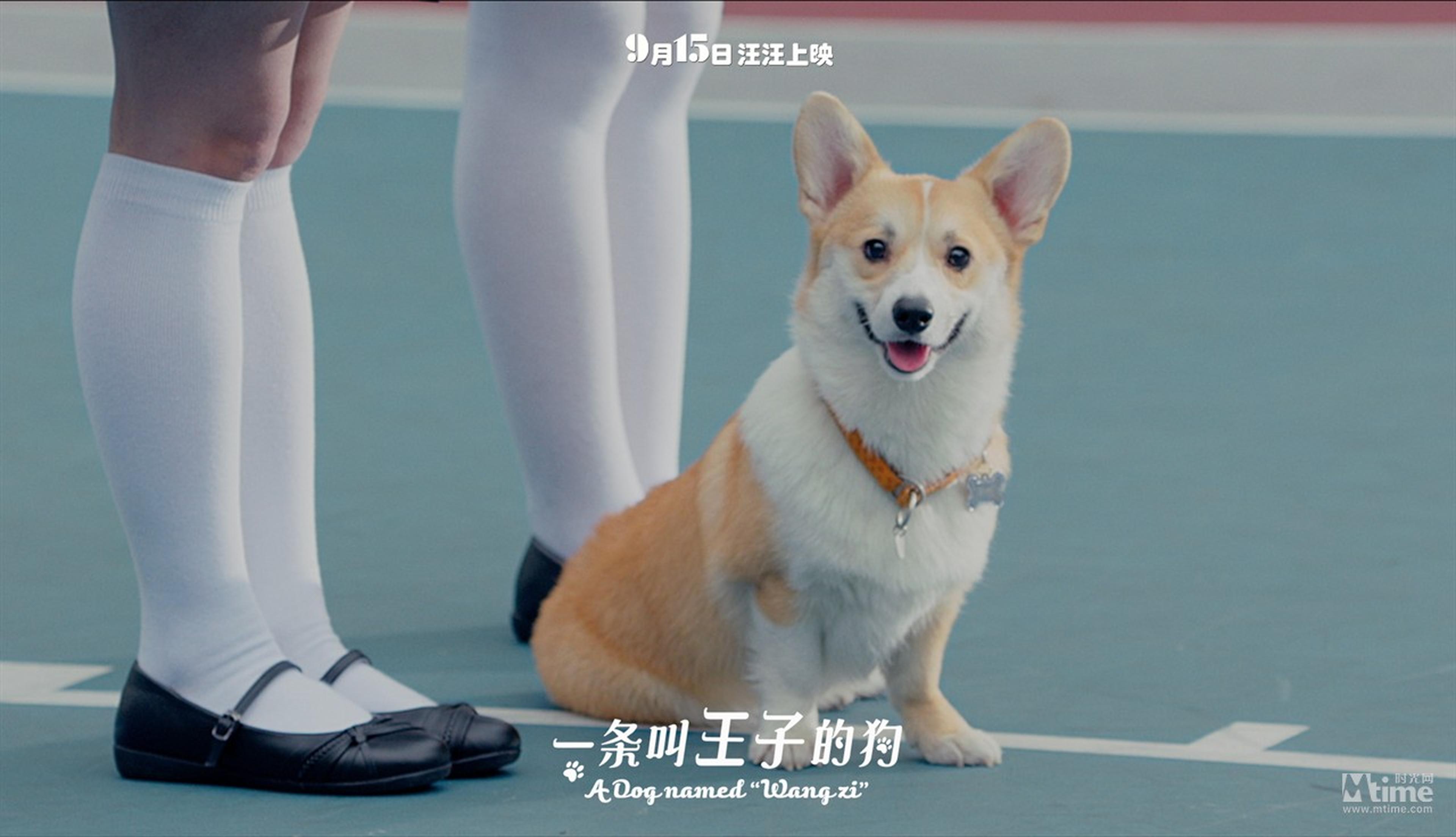 王子可爱的回眸一笑