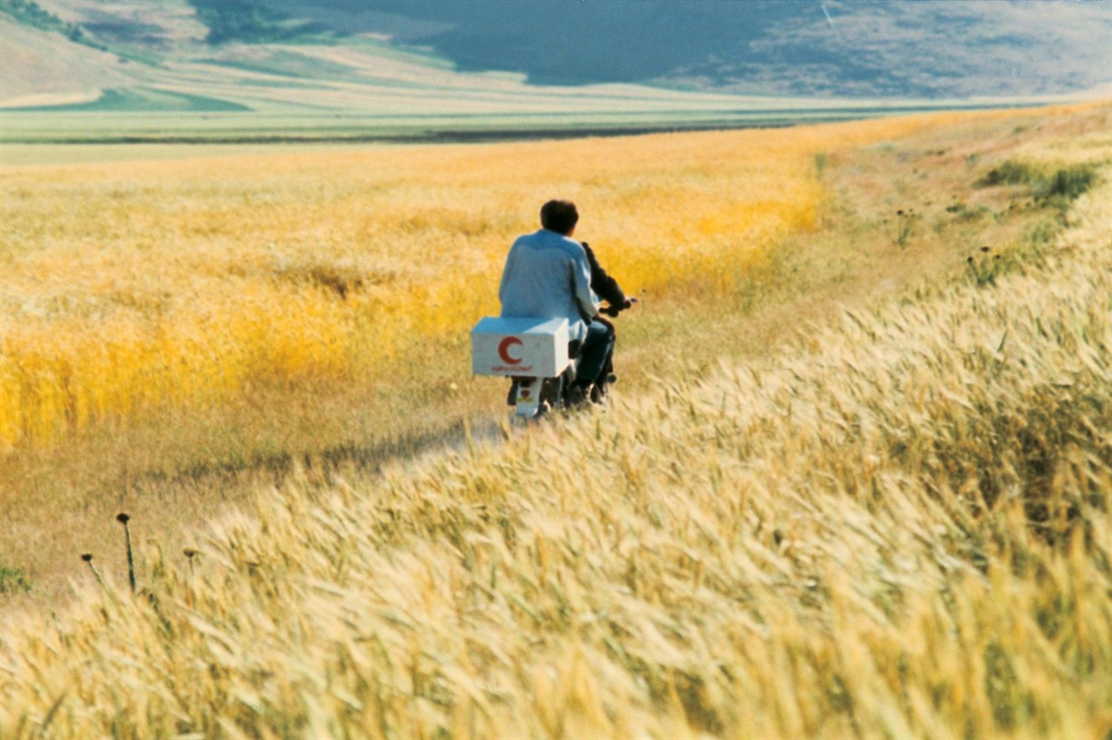 《随风而逝》剧照（1999），曾获威尼斯电影节评审团特别大奖