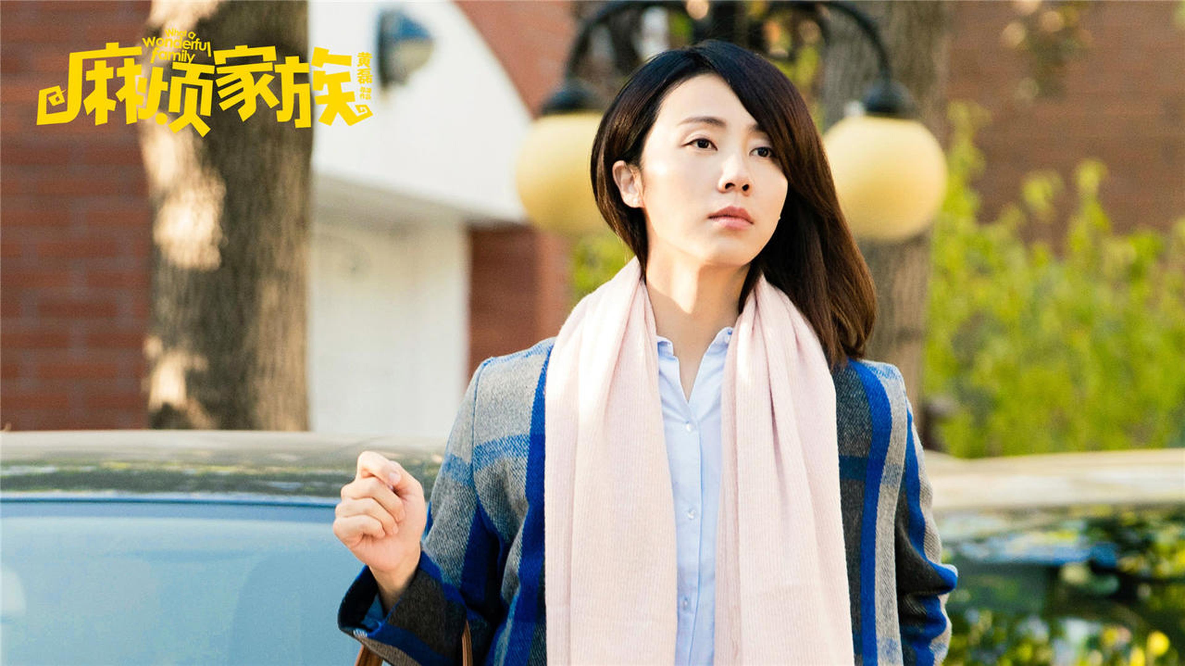 孙莉饰演全职太太大儿媳丁雁