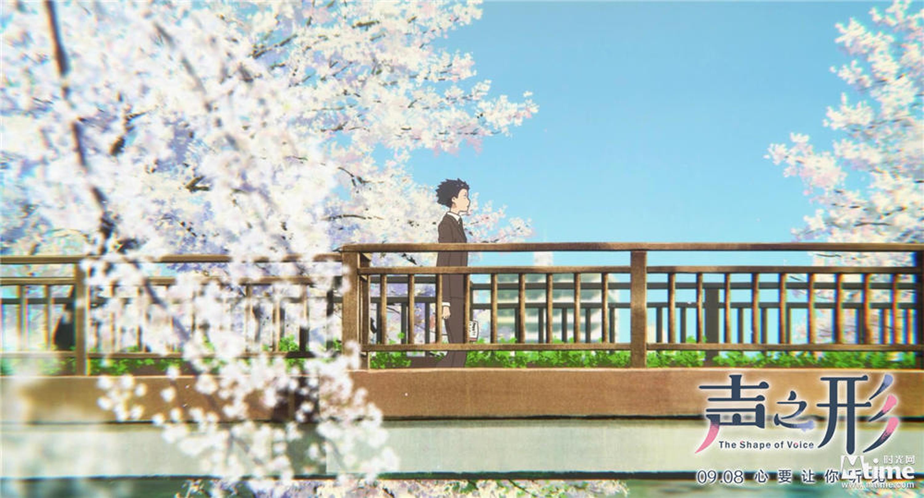 穿过樱花海的将也