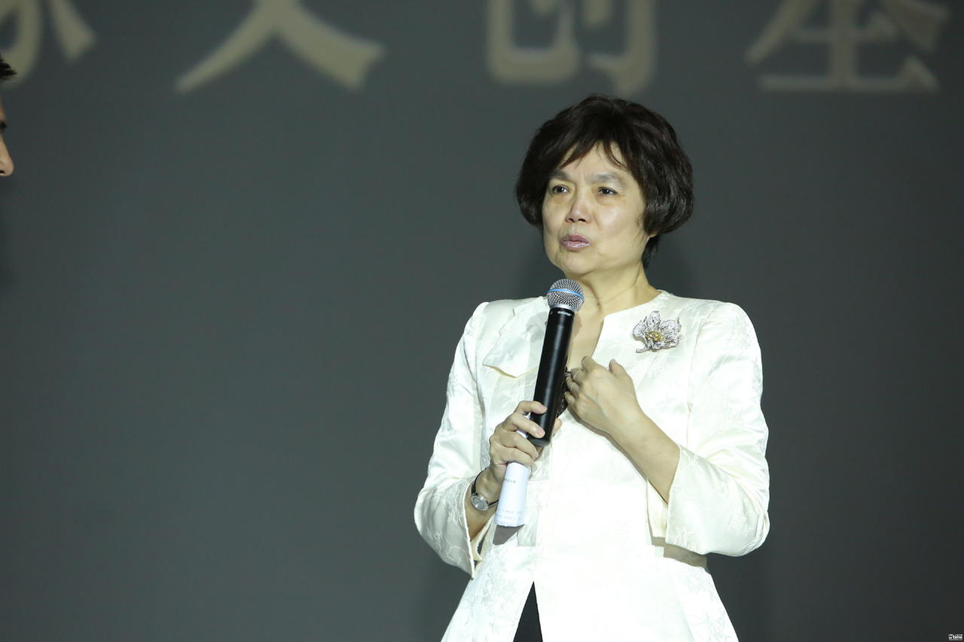 梁凤仪发言