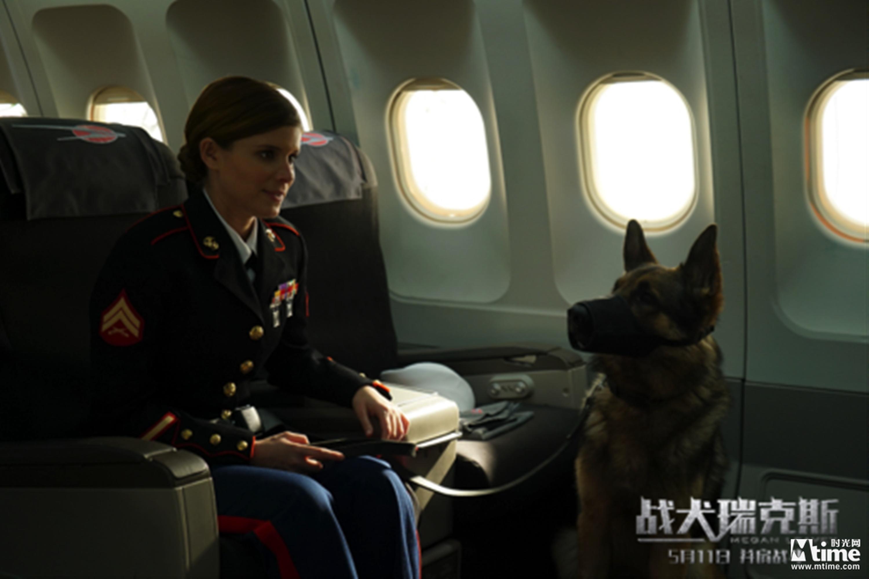 《战犬瑞克斯》剧照