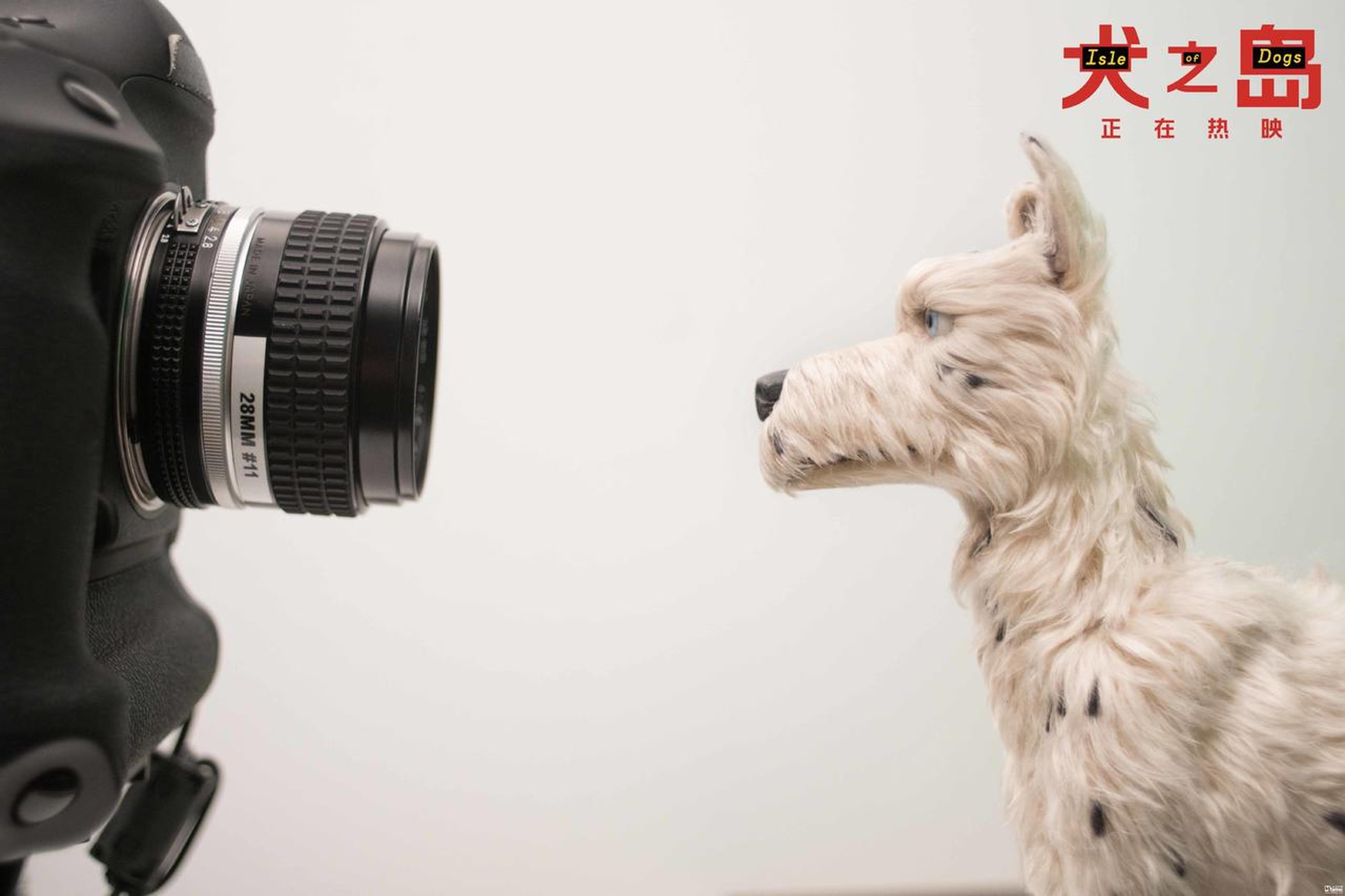 《犬之岛》幕后照
