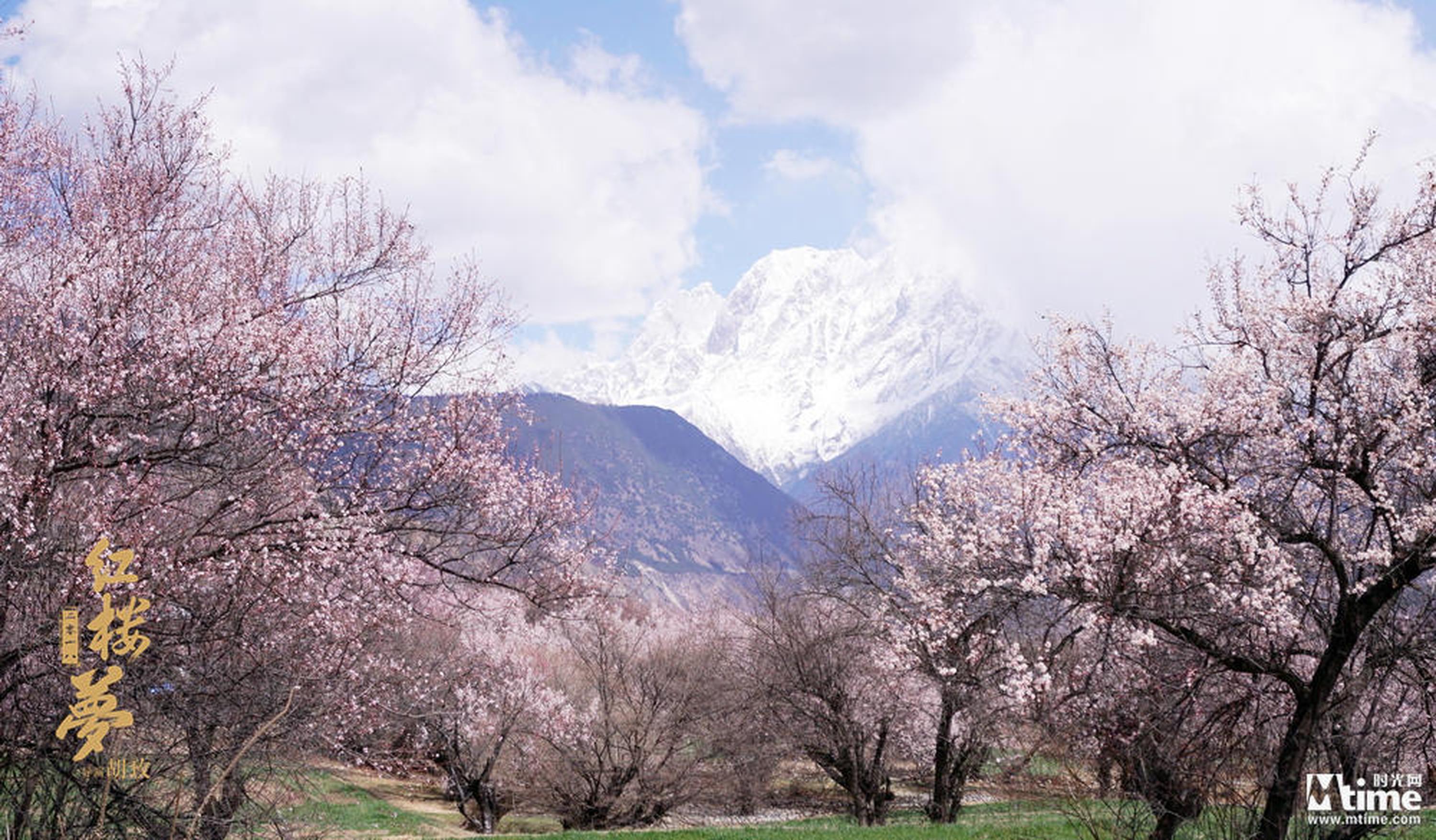 电影《红楼梦》剧组西藏林芝堪景
