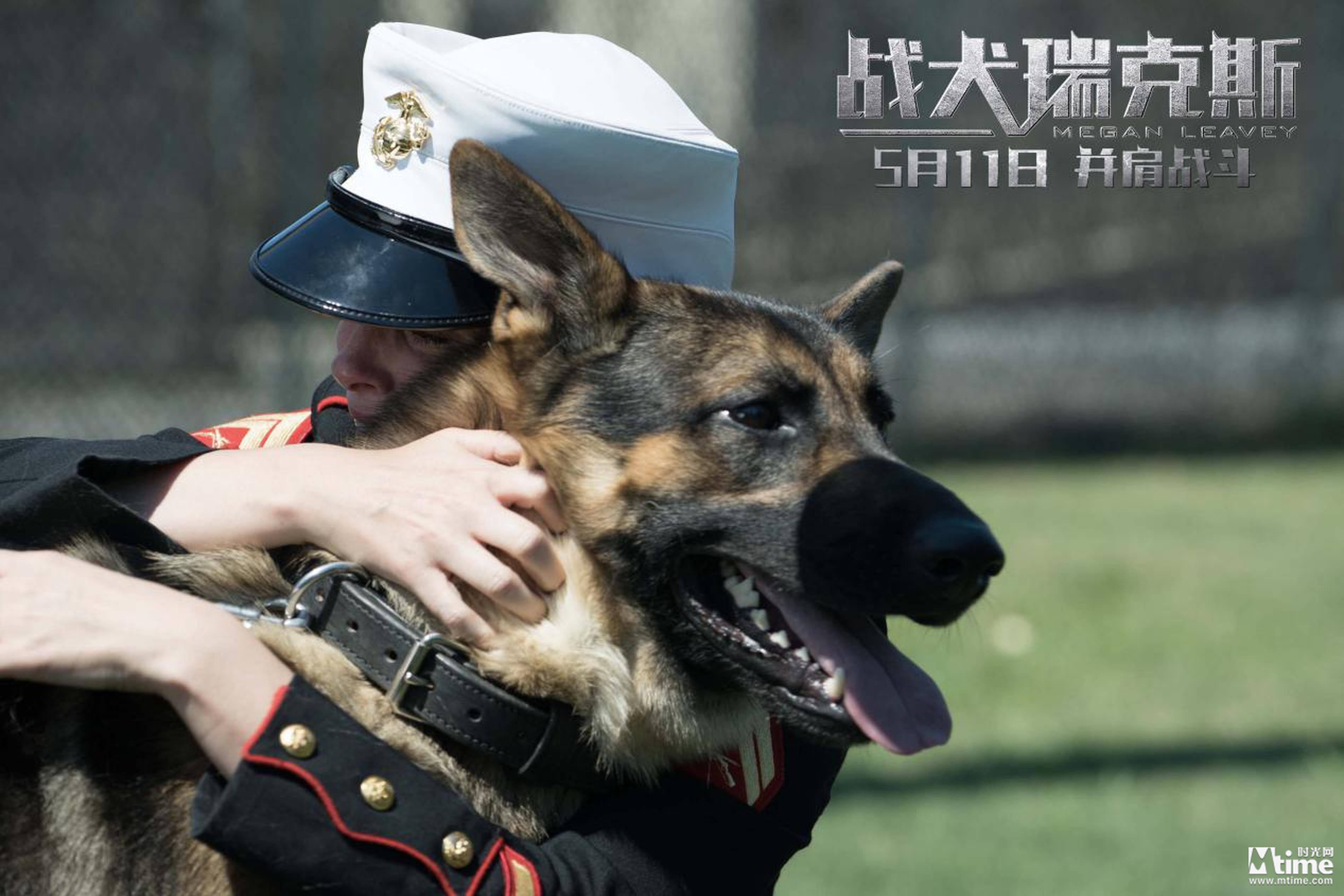 《战犬瑞克斯》剧照