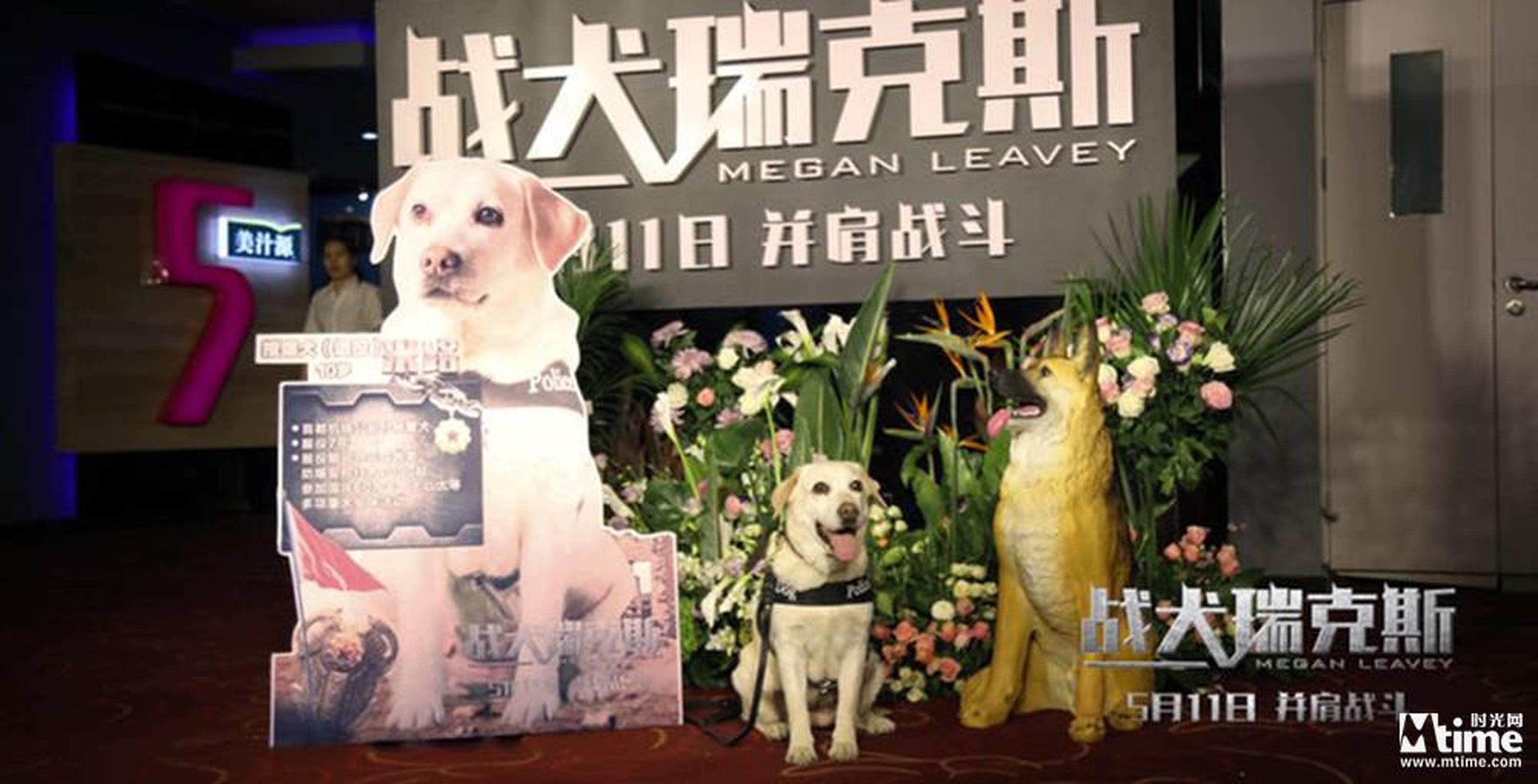 退役警犬事迹感动现场观众