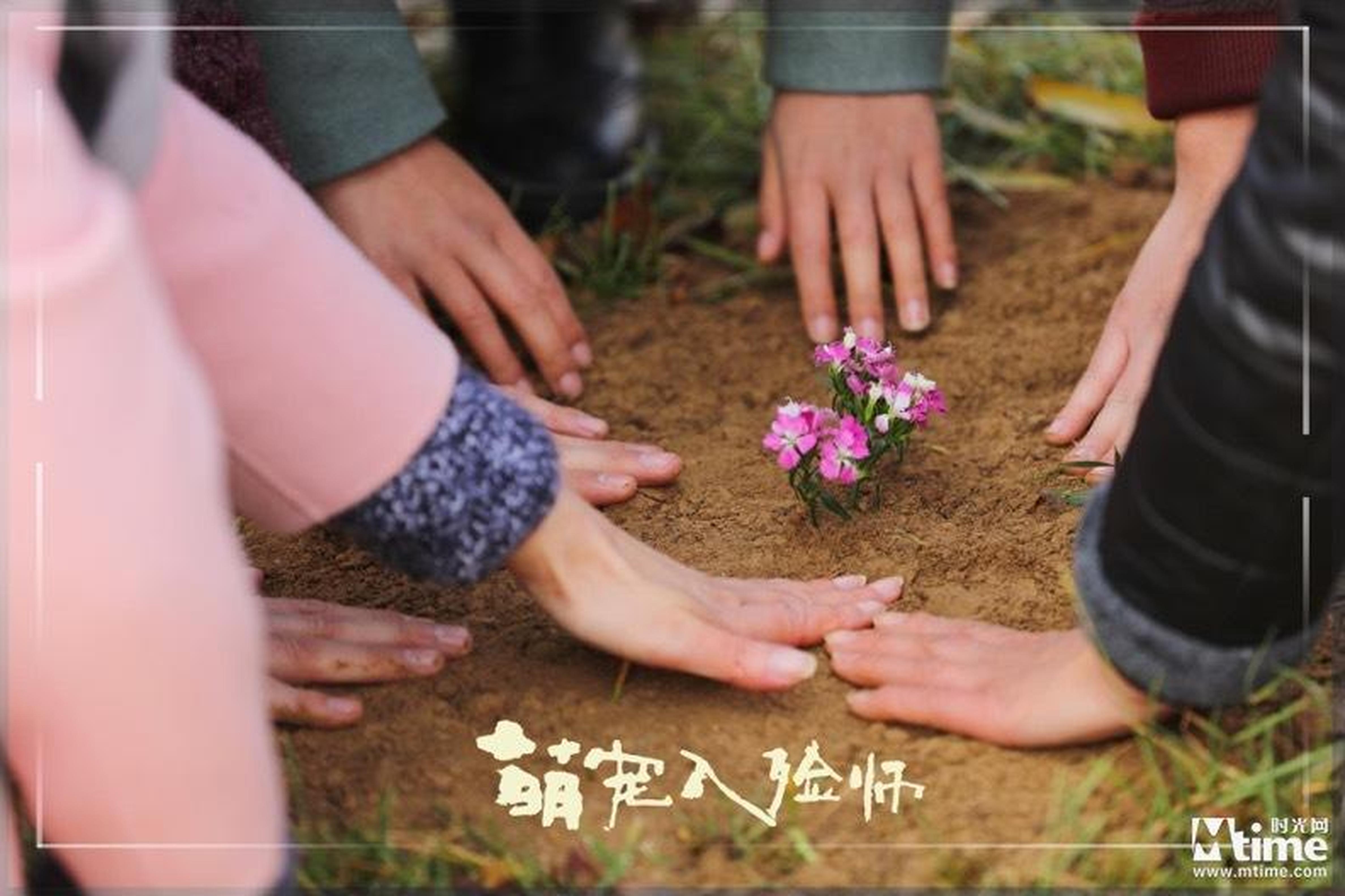 《萌宠入殓师》新剧照