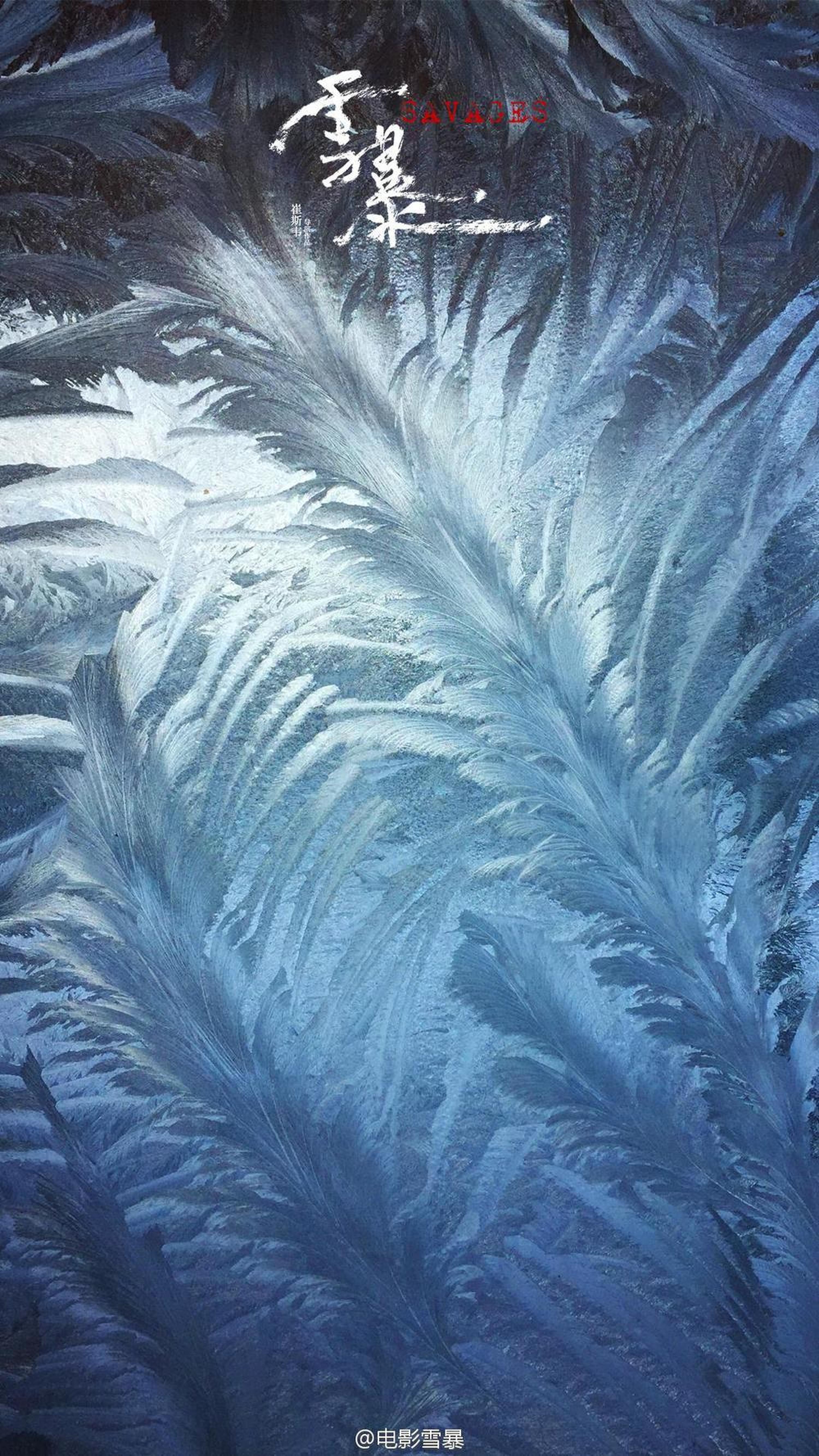 《雪暴》概念海报