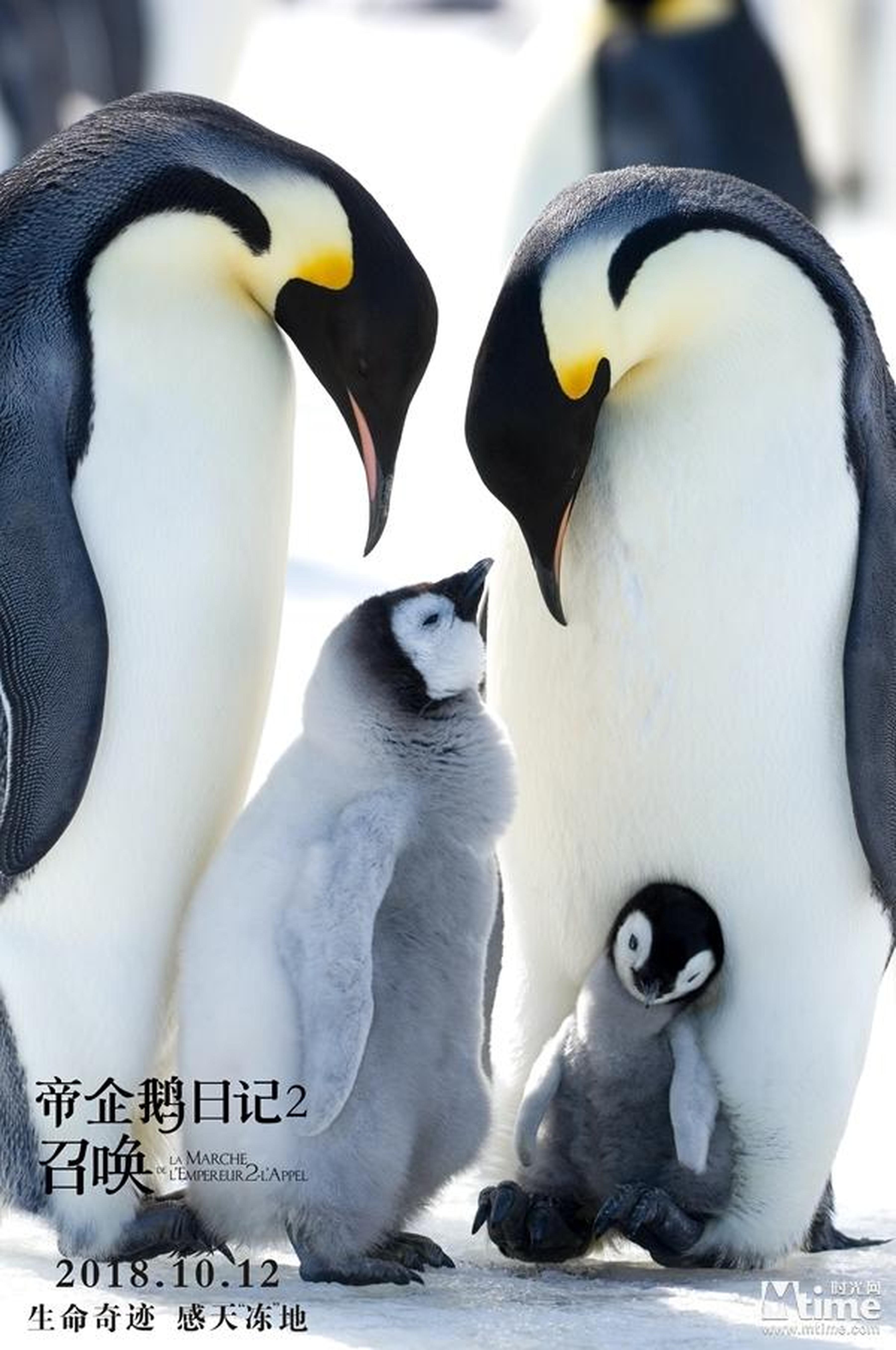 温情