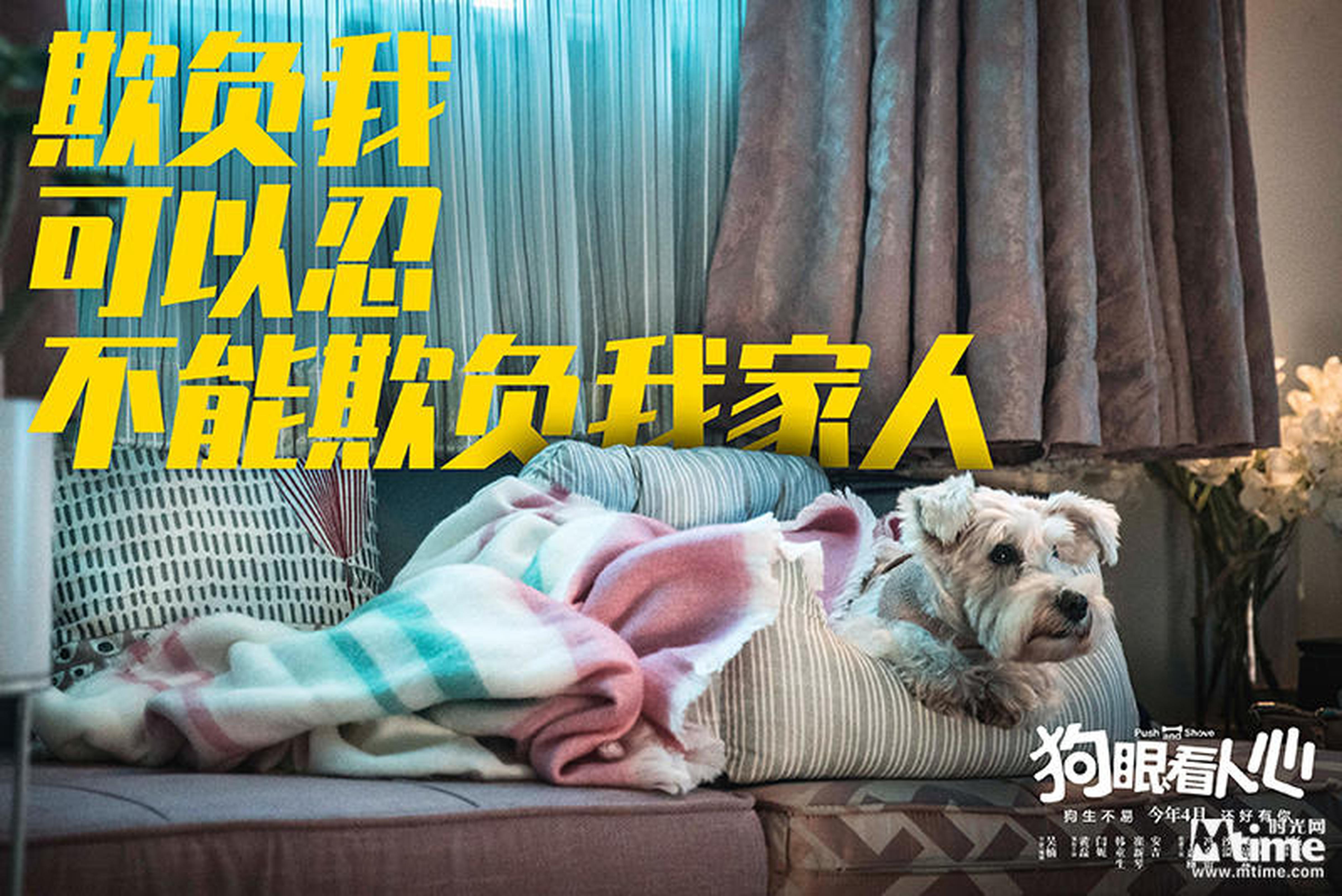 《狗眼看人心》态度版剧照-妮蔻