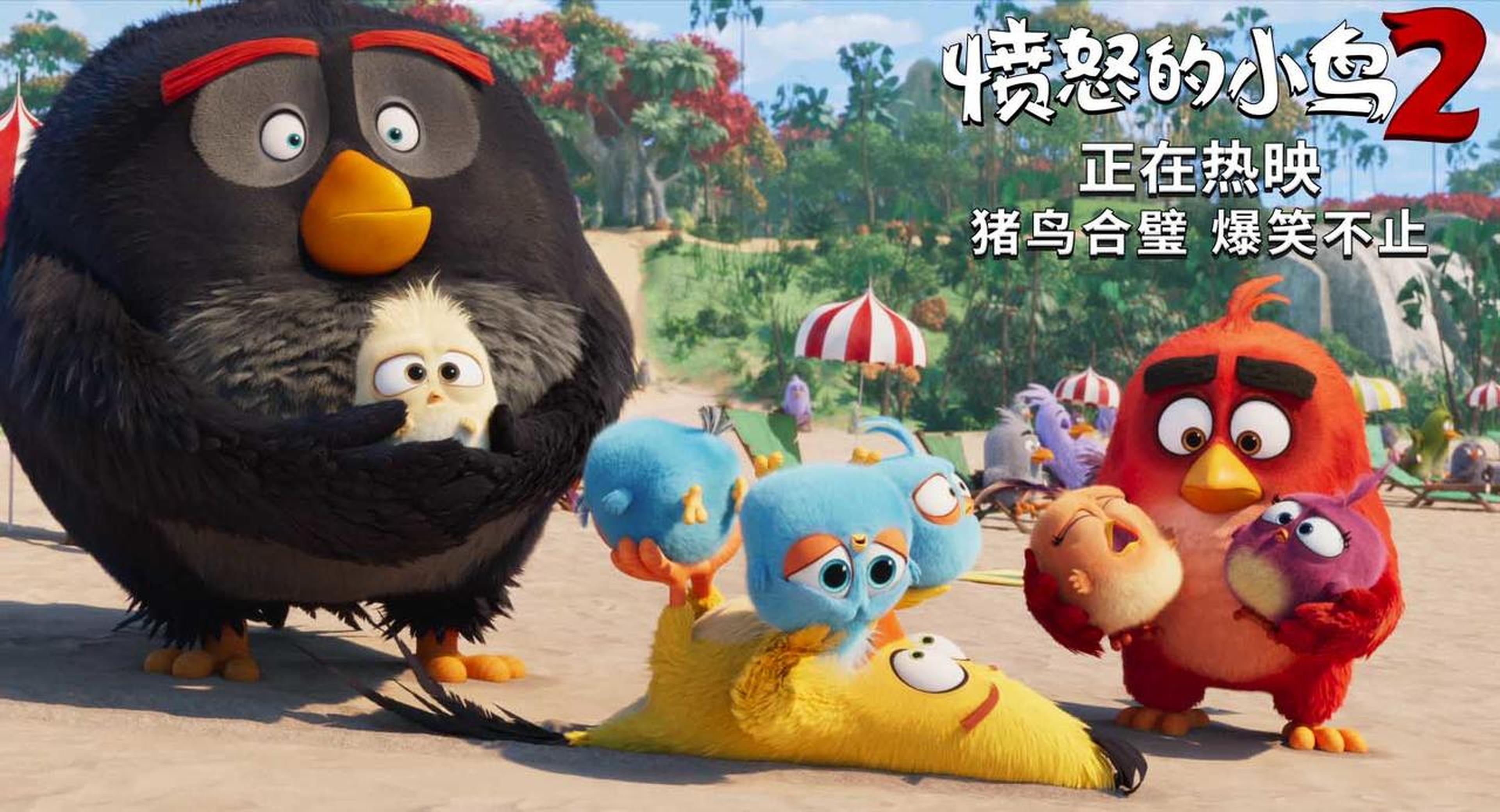 胖红与伙伴们救小小鸟
