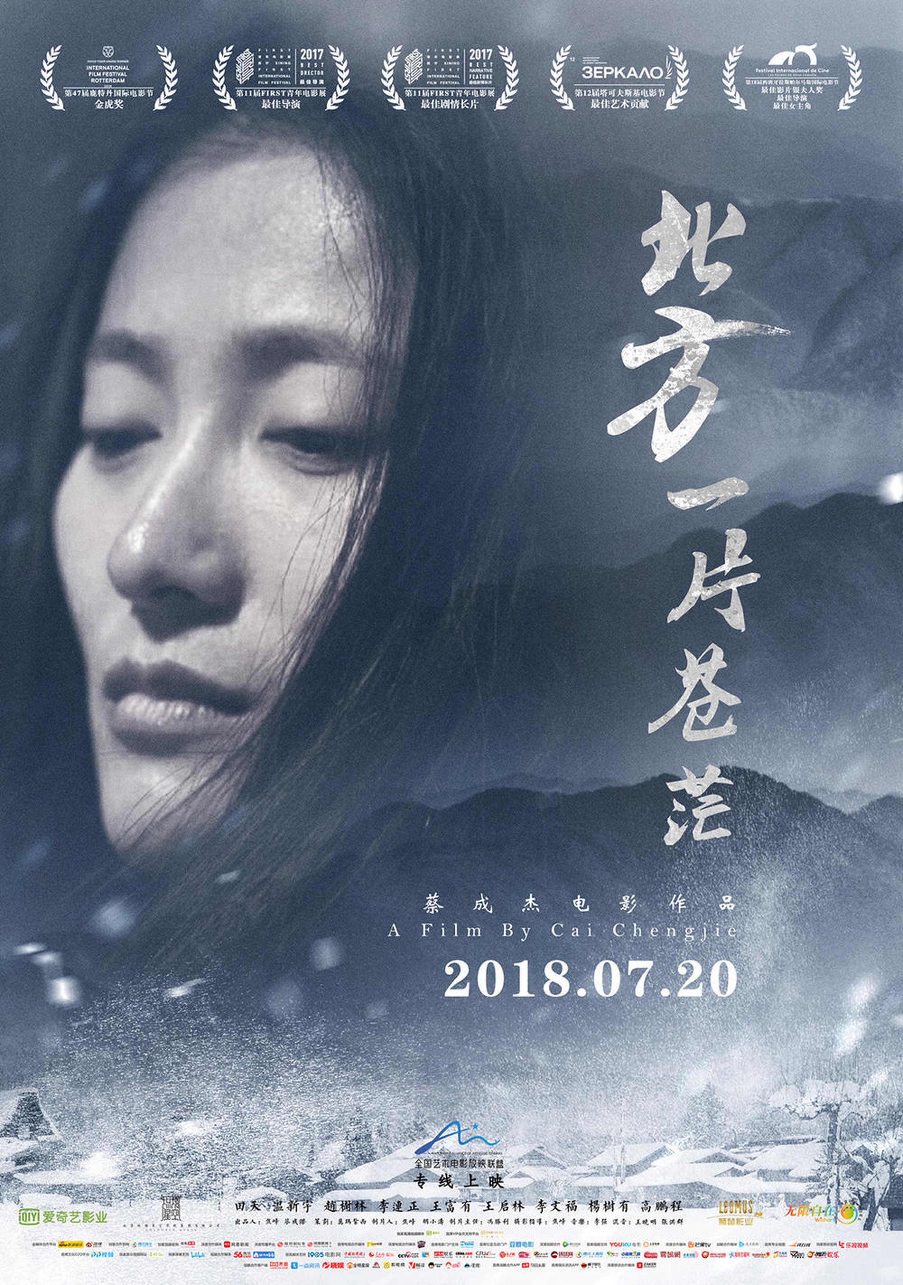 《北方一片苍茫》，时光网评分7.2分，内地票房73万，电影的故事非常大胆，通过鬼狐仙怪来反应当下农村的怪现状。