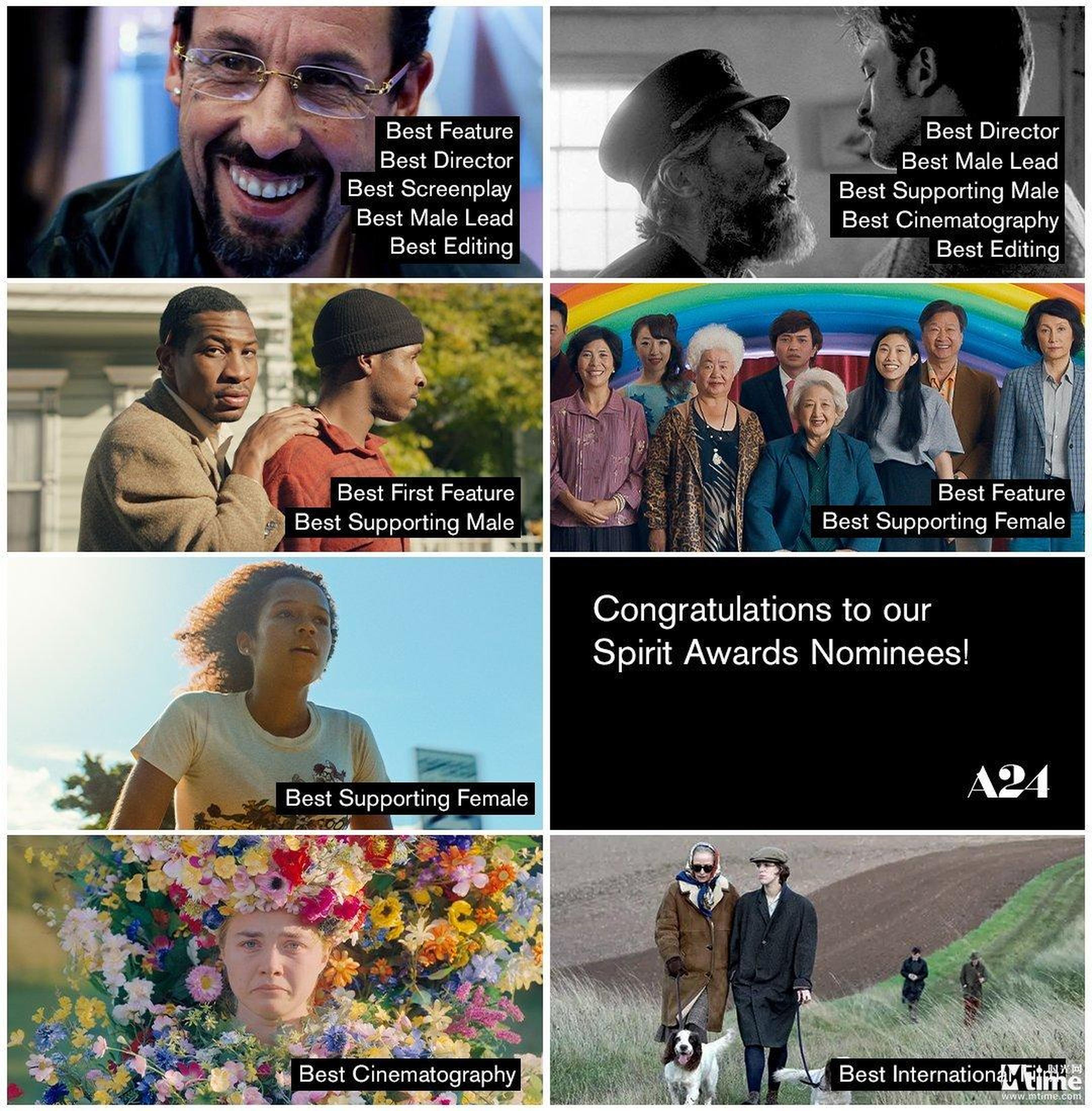 A24公司这回真的横扫全场了