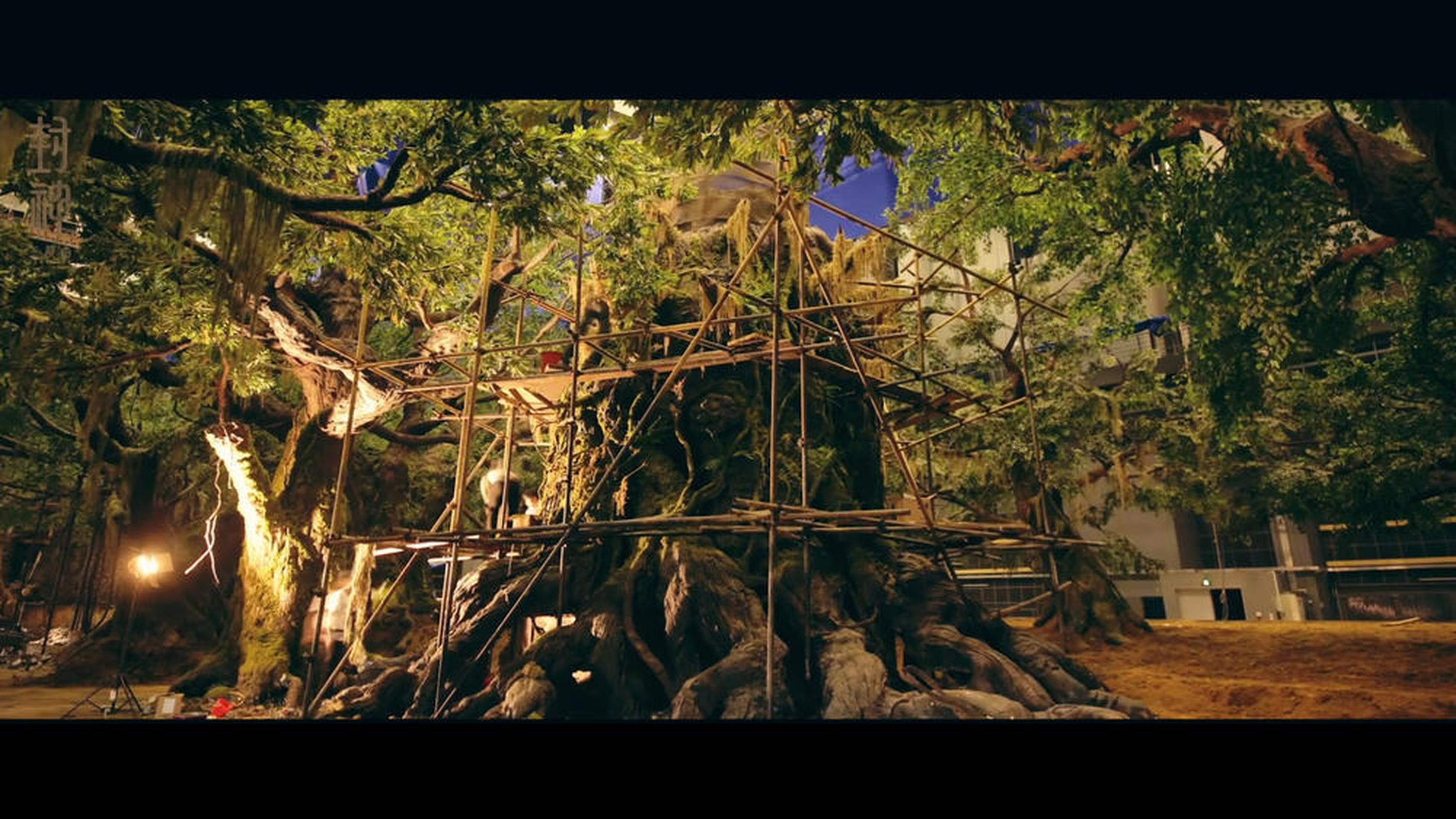 《封神三部曲》工作照，搭建大树场景