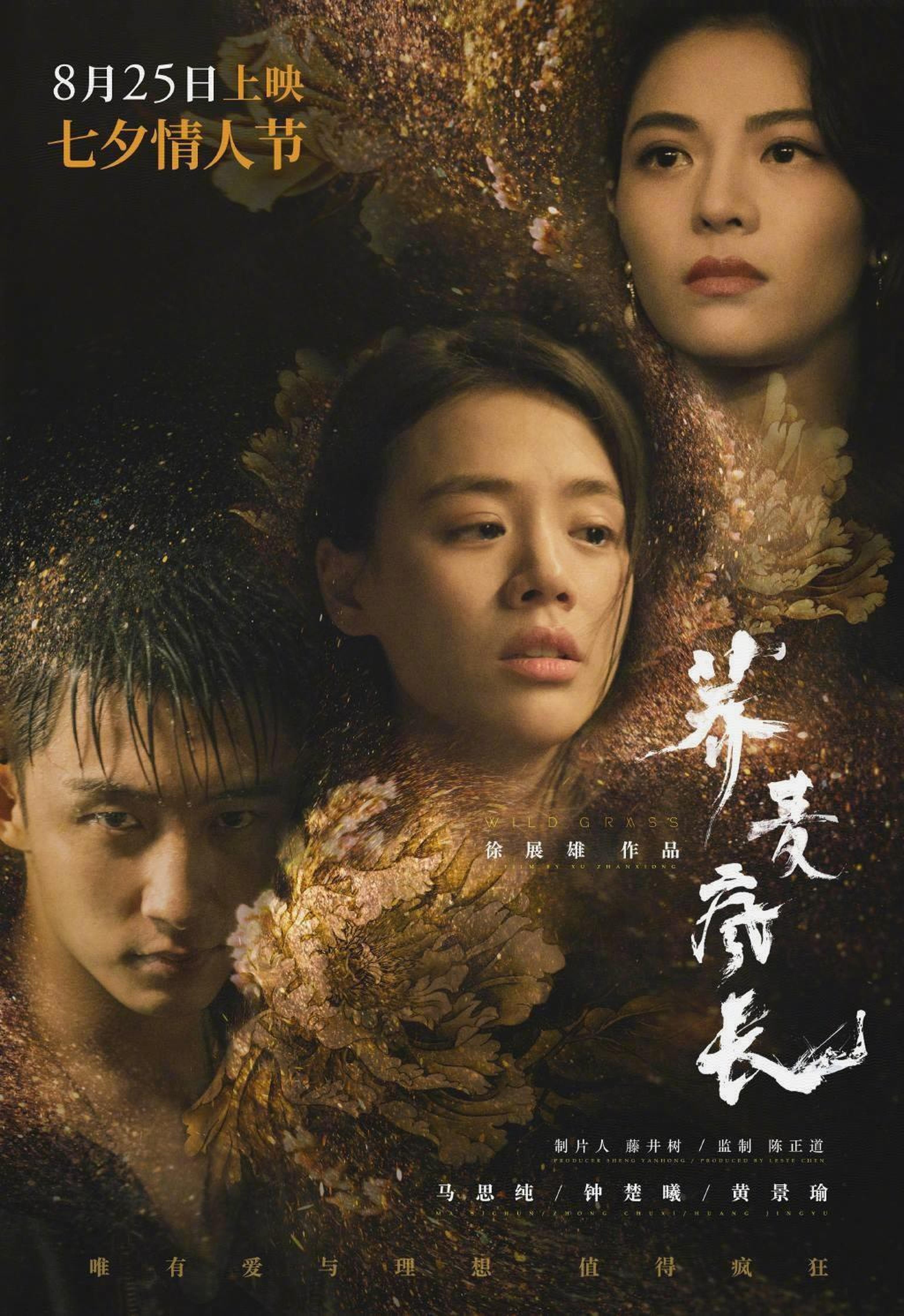 “亚洲新人奖”官方入选影片：《荞麦疯长》（中国），徐展雄